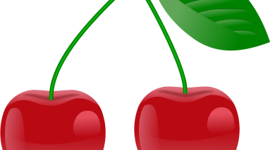 The Ultimate Guide to Understanding Nutrition and Well-Being