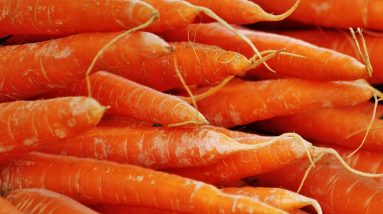 The Vital Connection Between Nutrition and Fitness: Why Your Wellbeing Depends on It
