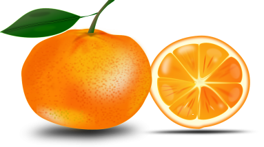 Fueling Your Body: Nutrition Tips for Long Work Hours