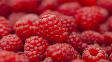 Boost Your Energy and Nourish Your Body: Mastering Nutrition After Long Work Hours