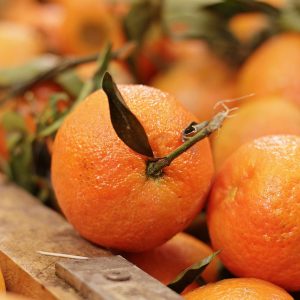 Boost Your Energy and Nourish Your Body: Unleashing the Power of Nutrition After a Long Day at Work