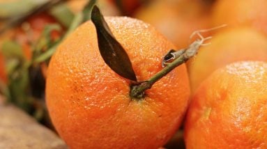 Boost Your Energy and Nourish Your Body: Unleashing the Power of Nutrition After a Long Day at Work