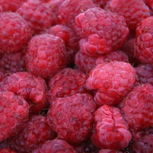 Carb Confusion: Unraveling the Post-Workout Conundrum