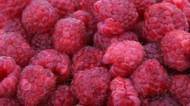 Carb Confusion: Unraveling the Post-Workout Conundrum