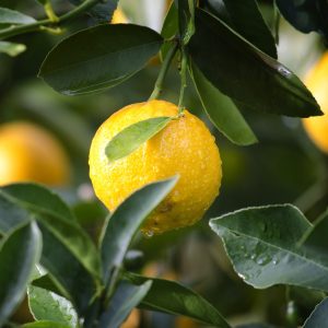 Fueling Your Body: Boost Your Post-Workout Nutrition Game!