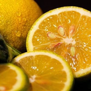 The Vitality Connection: Unveiling the Crucial Link Between Nutrition and Physical Well-being