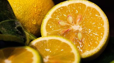 The Vitality Connection: Unveiling the Crucial Link Between Nutrition and Physical Well-being