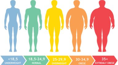 Discover Your Ideal Healthy Weight