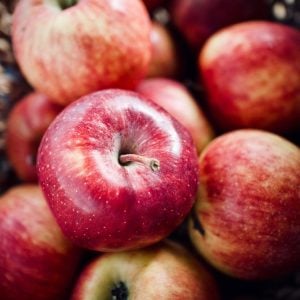 The Unsung Hero: Unveiling the Vital Connection between Nutrition and Physical Health
