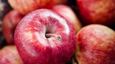 The Unsung Hero: Unveiling the Vital Connection between Nutrition and Physical Health