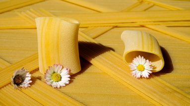 The Power Duo: Unraveling the Secrets of Nutrition and Well-being
