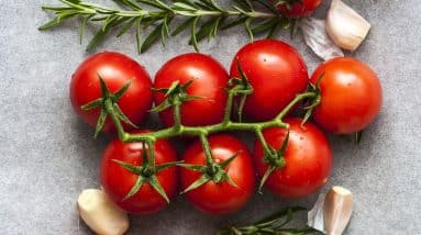 Boost Your Energy and Revitalize Your Body: Nutrition Tips for Thriving After Long Work Hours