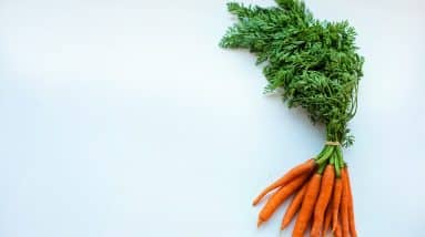 Boost Your Energy and Productivity: Nutrition Tips for Long Work Days