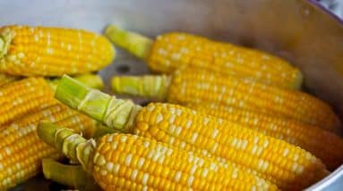 Boosting Your Nutritional Game: Fueling Your Body After Long Work Hours