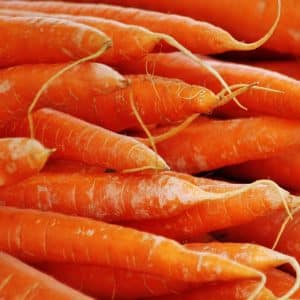 Fueling Your Fitness: The Vital Link Between Nutrition and Wellbeing